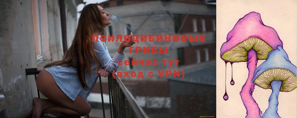 ГАЛЛЮЦИНОГЕННЫЕ ГРИБЫ Абдулино