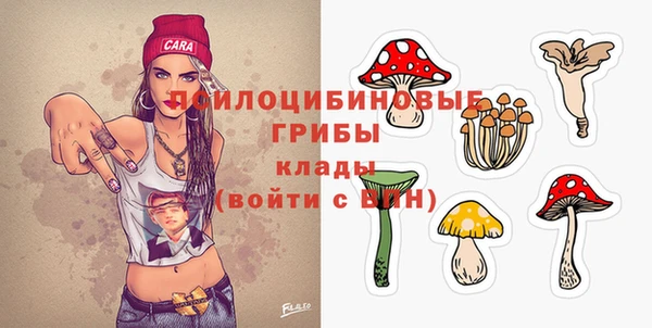 ГАЛЛЮЦИНОГЕННЫЕ ГРИБЫ Абдулино