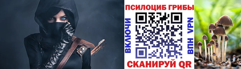 Галлюциногенные грибы MAGIC MUSHROOMS  KRAKEN зеркало  Алагир 
